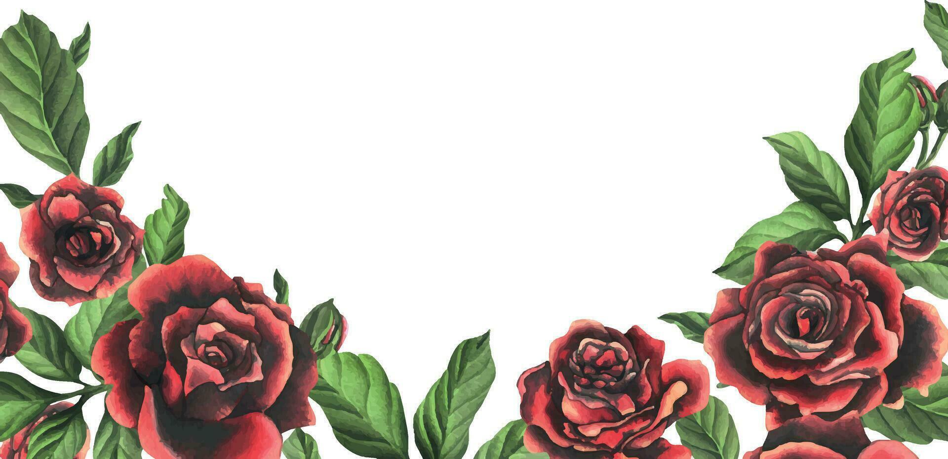 rouge noir Rose fleurs avec vert feuilles et bourgeons, élégant, brillant, belle. main tiré aquarelle illustration. modèle sur une blanc arrière-plan, pour décoration et conception. vecteur