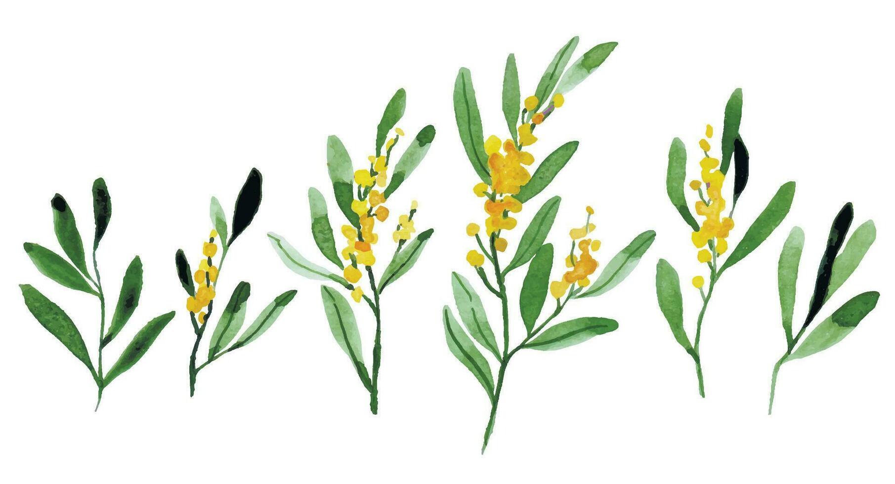 aquarelle dessin ensemble de mimosa fleurs. abstrait fleurs et Jaune feuilles. vecteur