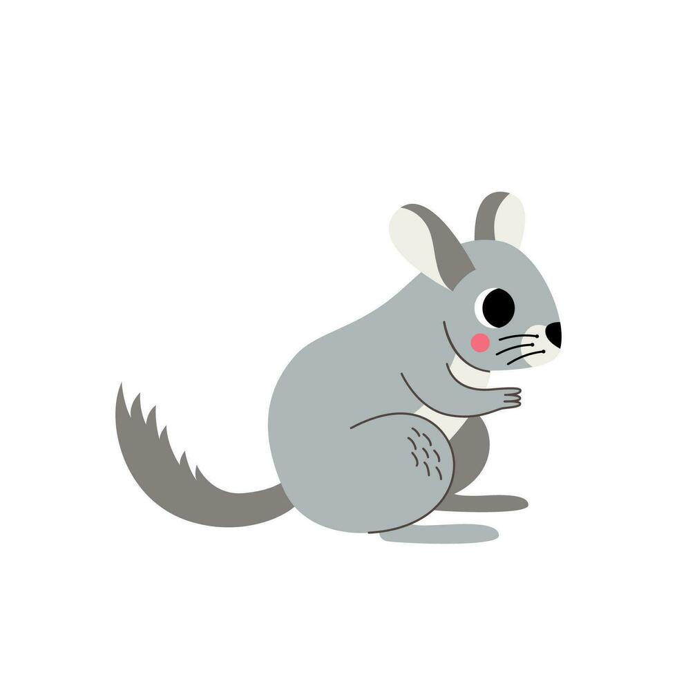 vecteur illustration de mignonne dessin animé chinchilla isolé sur blanc Contexte.