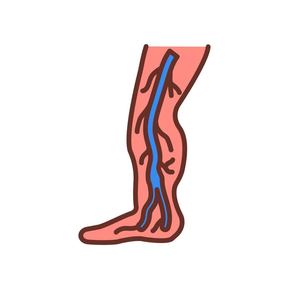 antérieur tibial veine icône dans vecteur. logotype vecteur