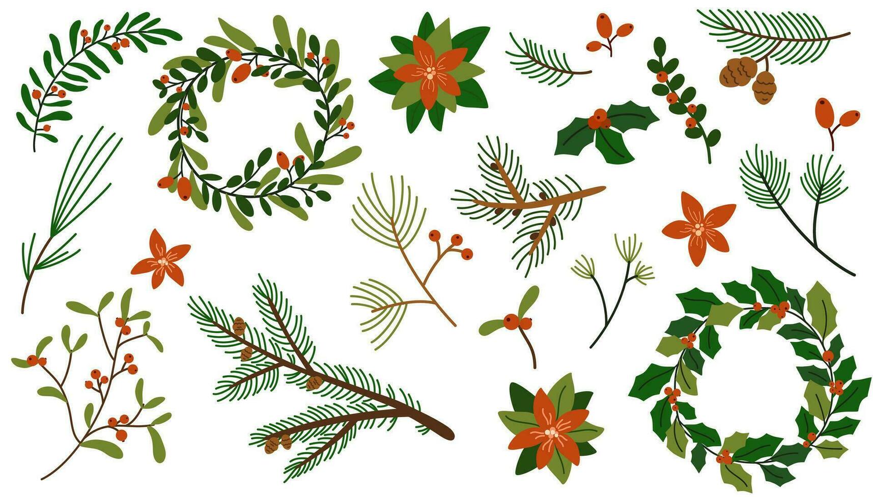 Noël à feuilles persistantes les plantes. arbre, sapin, pin et cône, épicéa brindille, houx baies, feuilles branches ensemble. hiver les plantes. Noël feuillage brindilles branches rouge baies. la nature botanique éléments. vecteur