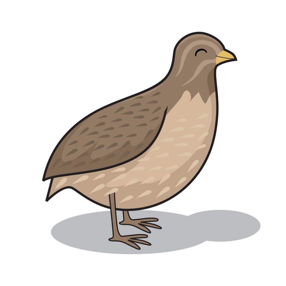 illustration d'animaux de dessin animé oiseau caille vecteur