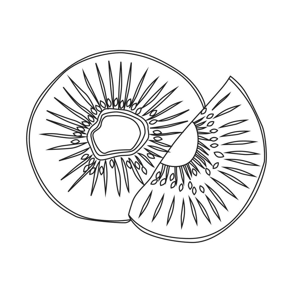 kiwi fruit contour vecteur illustration, adapté pour coloration livre, icône, logo, et graphique conception éléments