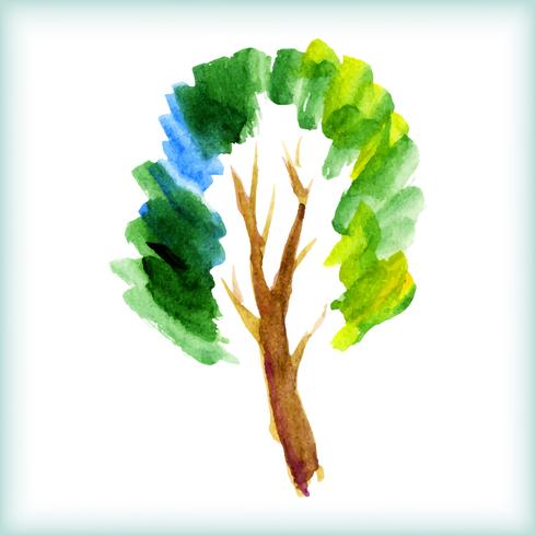 aquarelle arbre vert vecteur