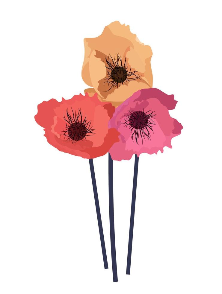 illustration vectorielle de fleur simple coquelicot vecteur