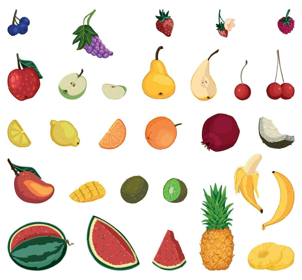 des fruits griffonnages ensemble. collection de baies, tropical des fruits, été récolte. coloré vecteur illustration dans dessin animé style. moderne cliparts isolé sur blanche.