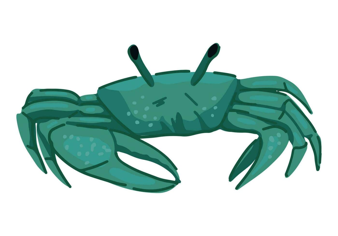 mer Crabe clipart. Célibataire griffonnage de tropical sauvage animal isolé sur blanche. coloré vecteur illustration dans dessin animé style.