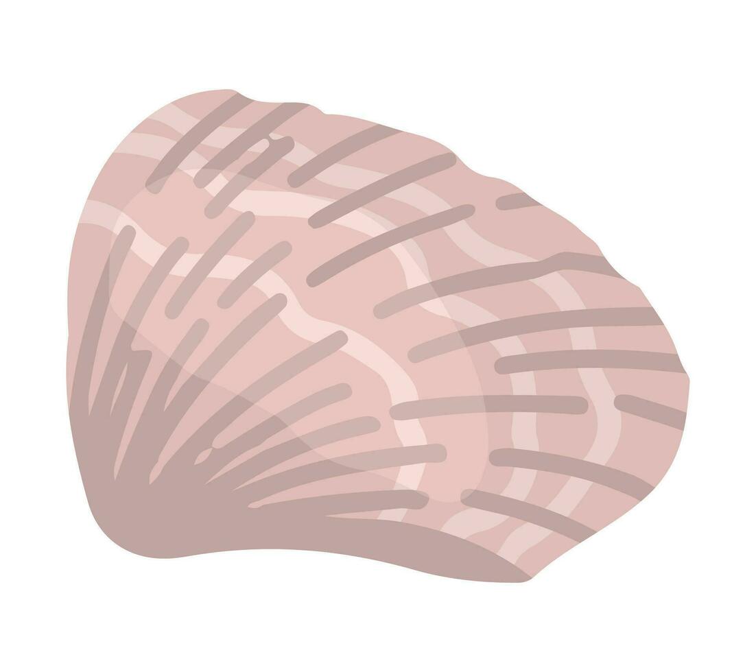 coquillage clipart. Célibataire griffonnage de mollusque coquille isolé sur blanche. coloré vecteur illustration dans dessin animé style.