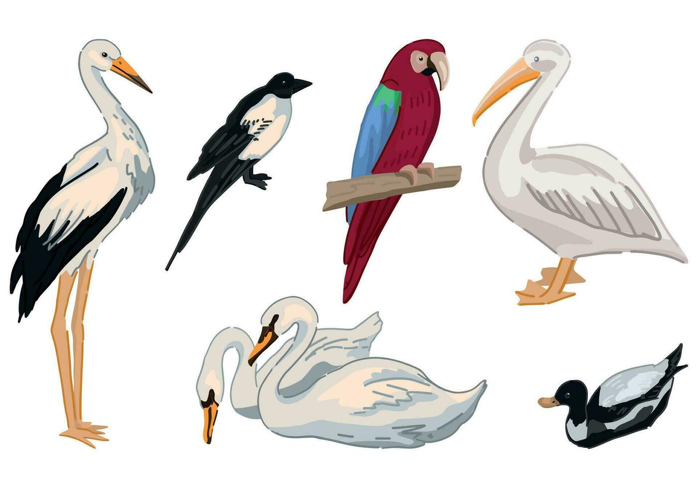 des oiseaux griffonnages ensemble. collection de cigogne, pie, cygnes, canard, perroquet, pélican. coloré vecteur illustration dans dessin animé style. moderne cliparts isolé sur blanche.