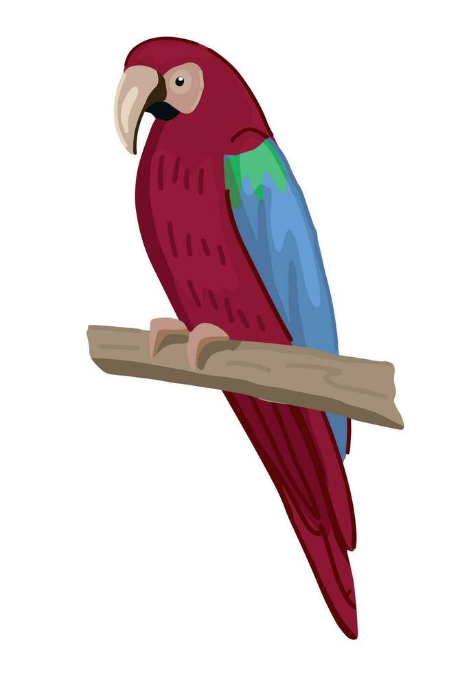 perroquet tropical oiseau clipart. Célibataire griffonnage de exotique sauvage animal isolé sur blanche. coloré vecteur illustration dans dessin animé style.