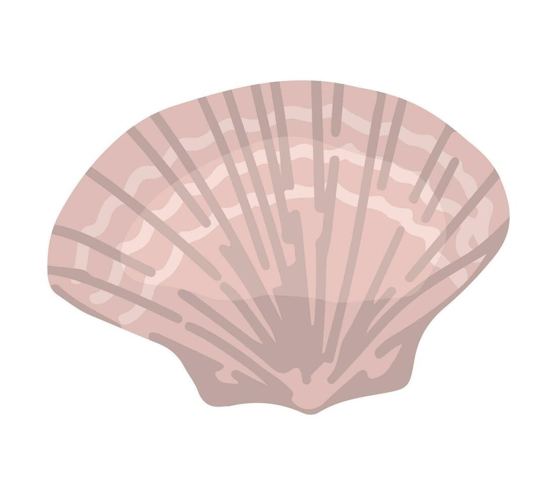 coquillage clipart. Célibataire griffonnage de mollusque coquille isolé sur blanche. coloré vecteur illustration dans dessin animé style.