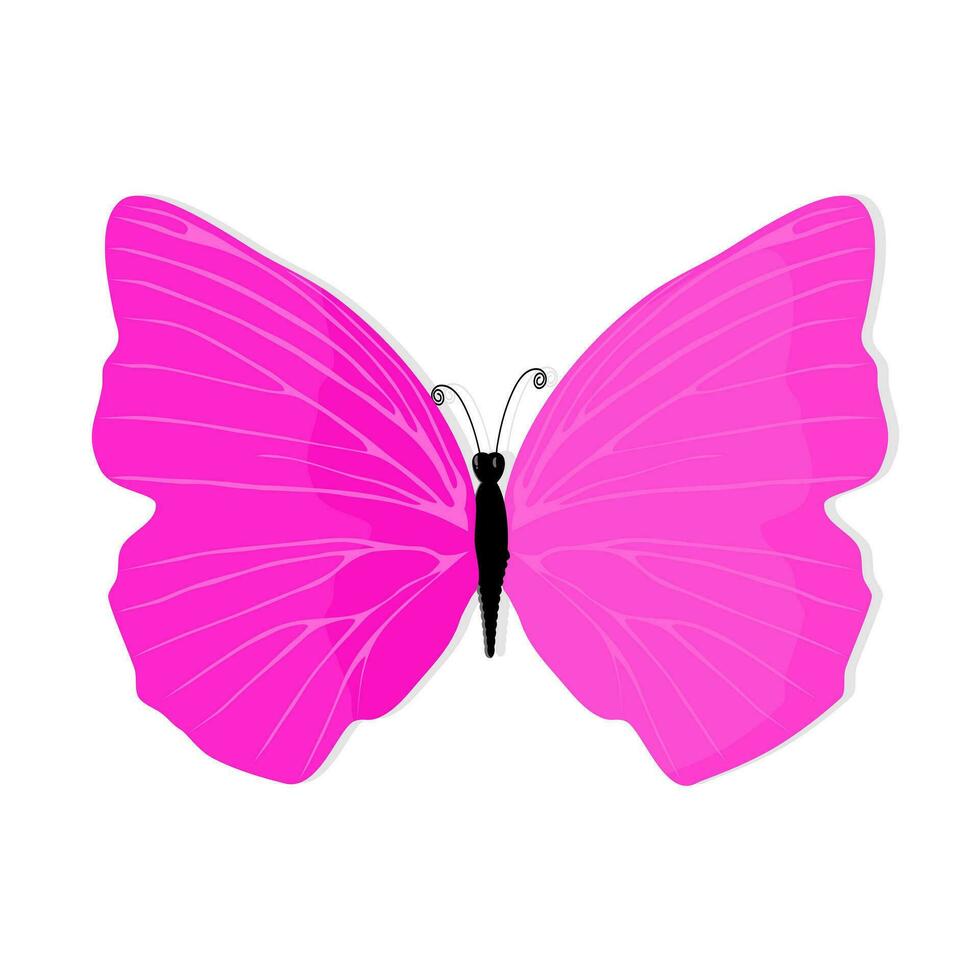 magnifique papillon rose isolé sur blanc Contexte vecteur