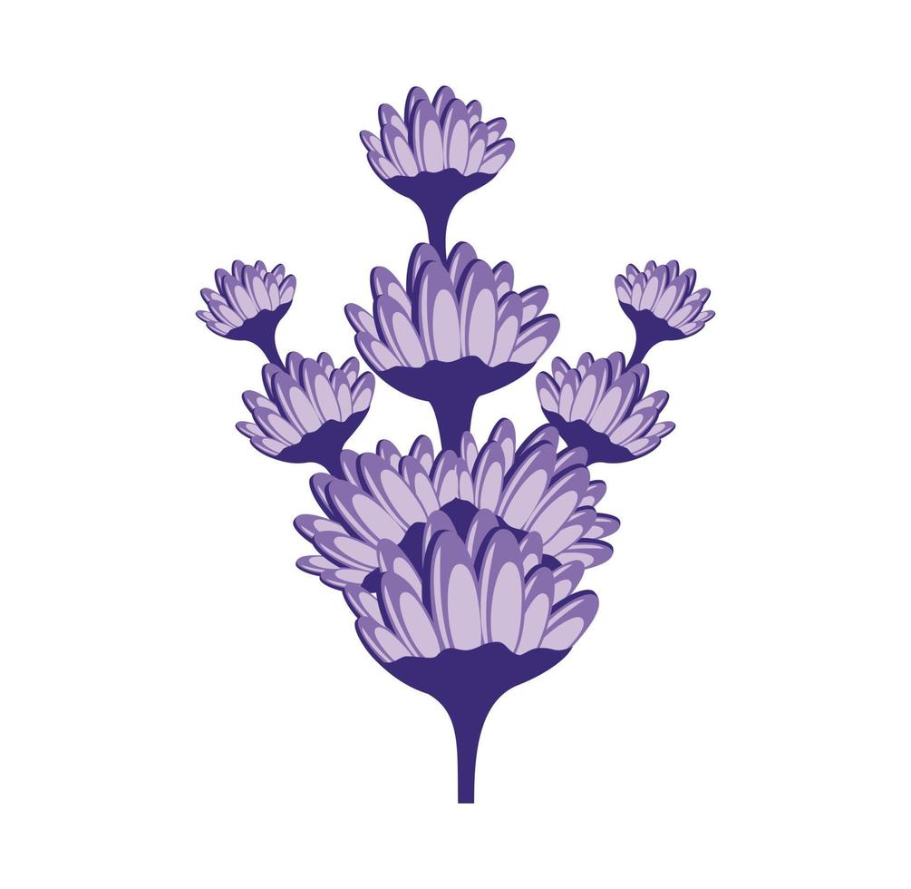 illustration de conception de fleur de lavande vecteur