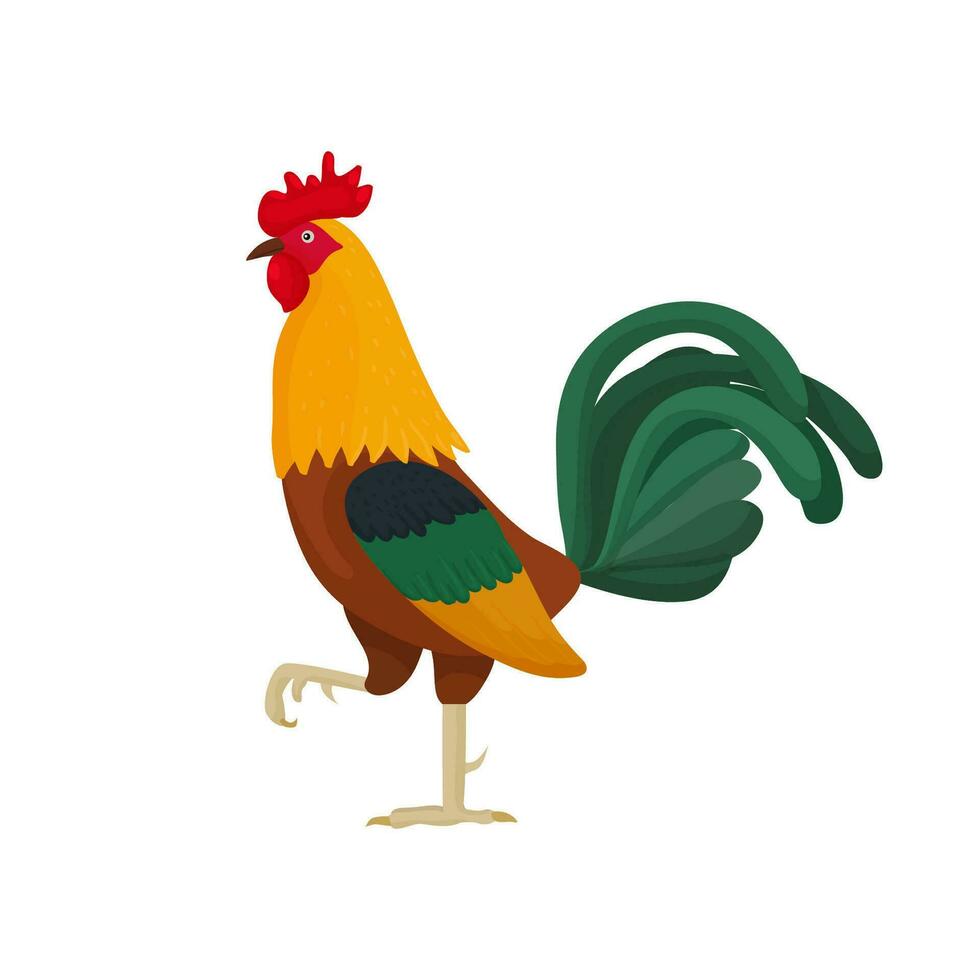 vecteur illustration de une coq dans dessin animé style avec vert plumes dans le queue des stands sur un jambe. brillant coq comme une symbole ou mascotte pour enfants livres et cartes postales avec des lettres.