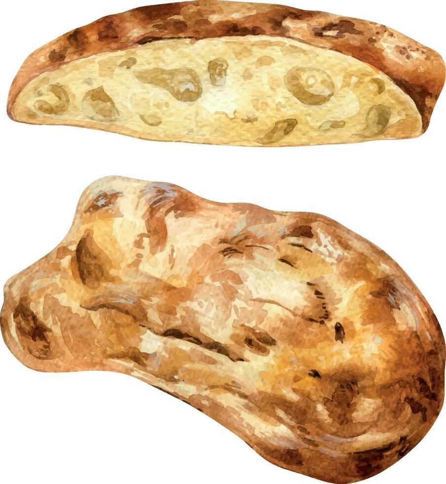 pain ciabatta entier et tranche aquarelle illustration isolé sur blanc Contexte. main tiré italien pain pour boulangerie. peint pain. élément pour conception signalétique, menu, livre de recettes, papier, emballage vecteur