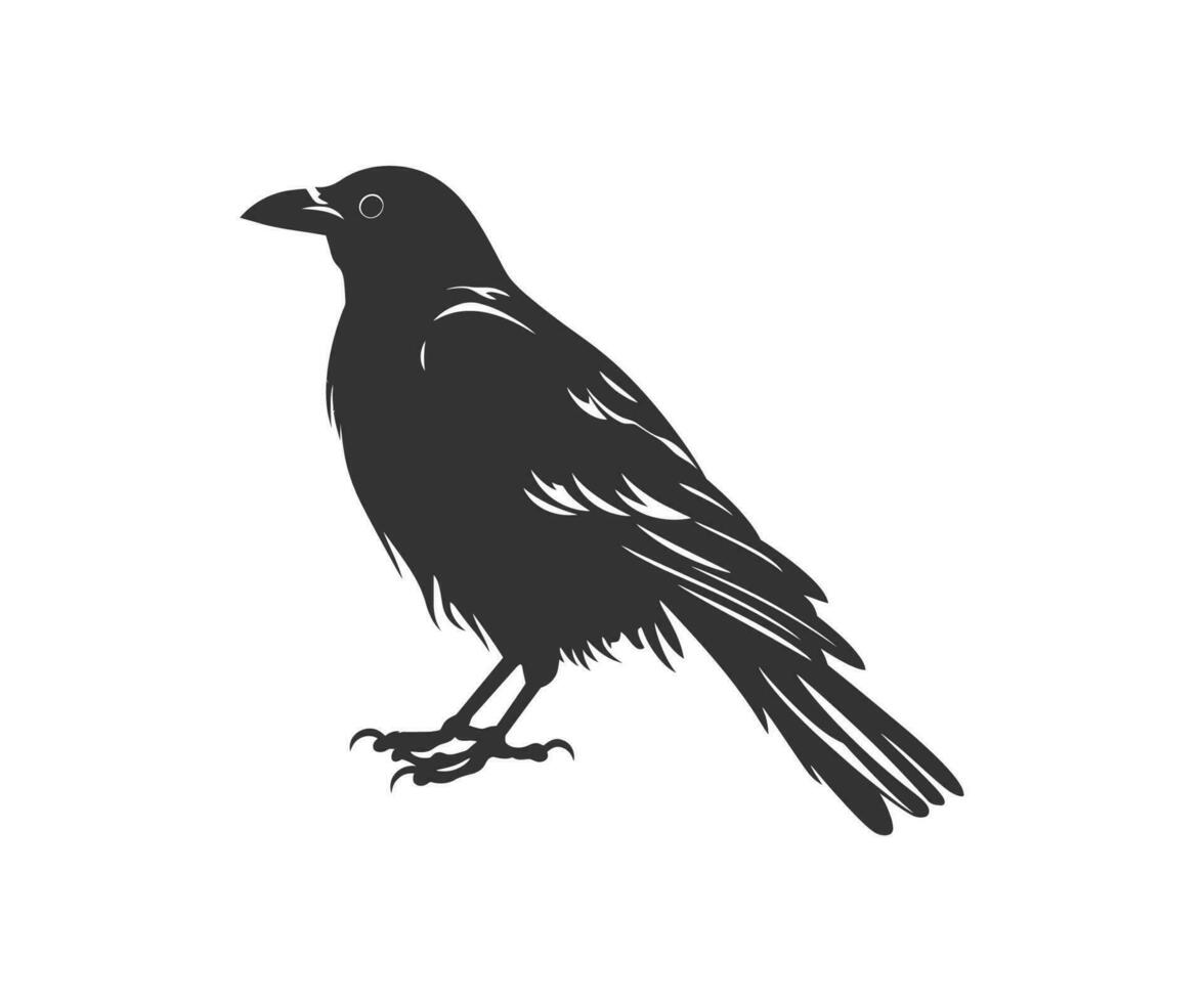 corbeau silhouette. vecteur illustration conception.