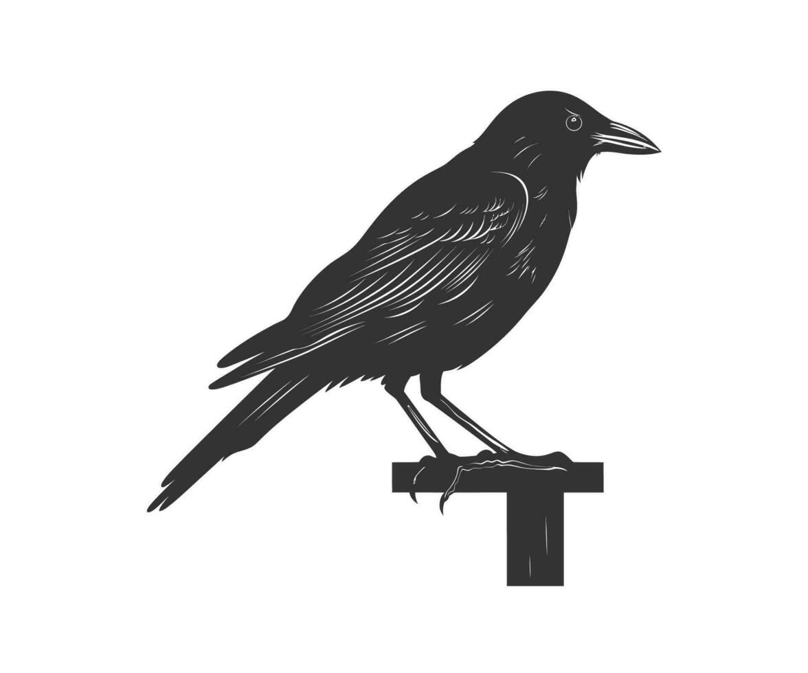 corbeau silhouette. vecteur illustration conception.