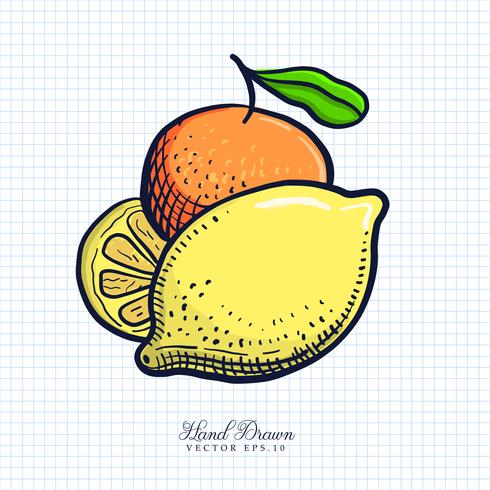 Illustration de fruits et légumes dessinée à la main vecteur
