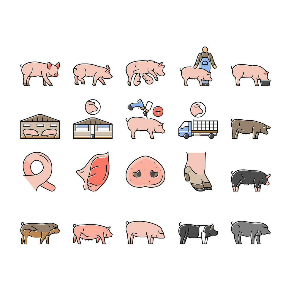 porc porc ferme animal porcelet porc Icônes ensemble vecteur