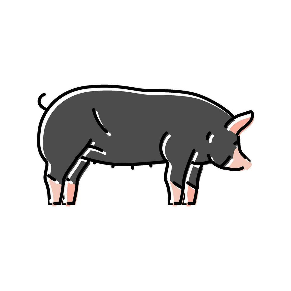 Berkshire porc race Couleur icône vecteur illustration