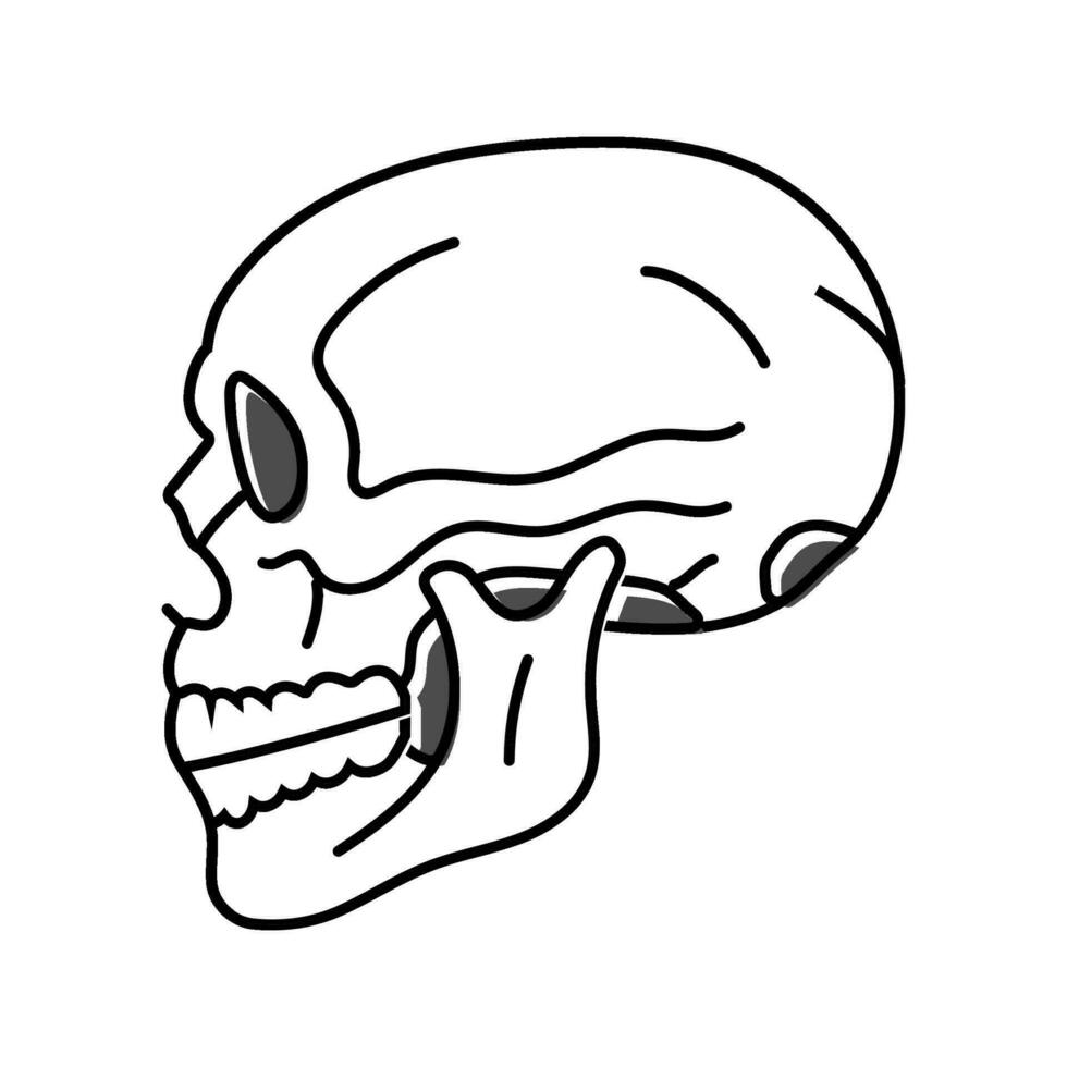 crâne tatouage art ancien Couleur icône vecteur illustration