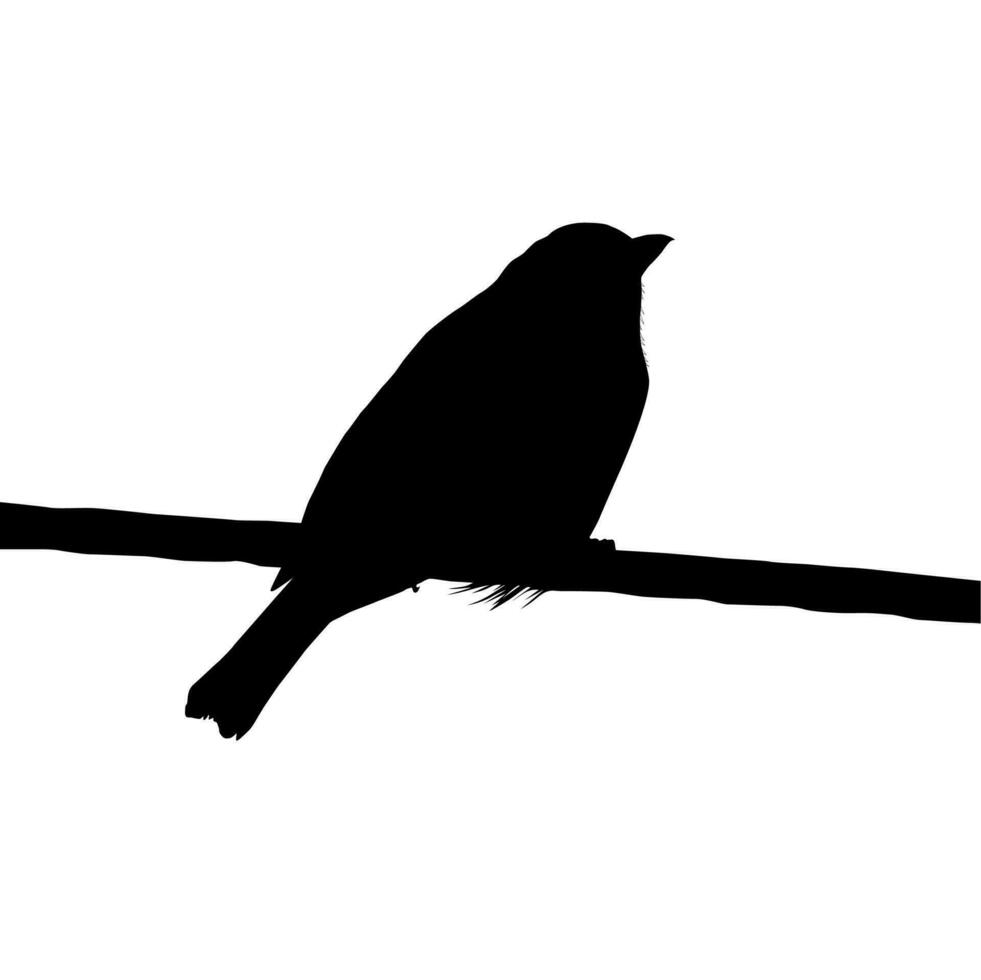 silhouette de le oiseau perché sur le électrique câble base sur mon la photographie. vecteur illustration