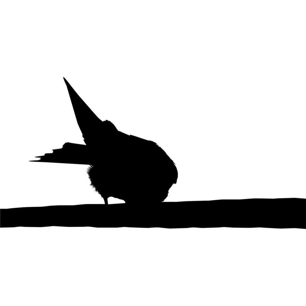 silhouette de le oiseau perché sur le électrique câble base sur mon la photographie. vecteur illustration