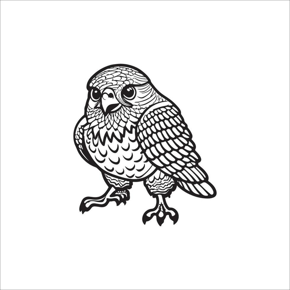 rouge faucon à queue dessin animé coloration page illustration vecteur pour des gamins coloration livre