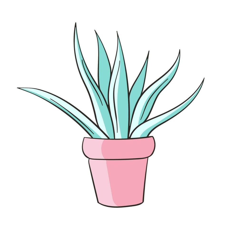 bleu agave plante dans une fleur pot, plat vecteur illustration. aloès vera, vert succulent croissance. plante d'appartement, Naturel intérieur décoration. dessin animé vecteur illustration isolé sur une blanc Contexte.