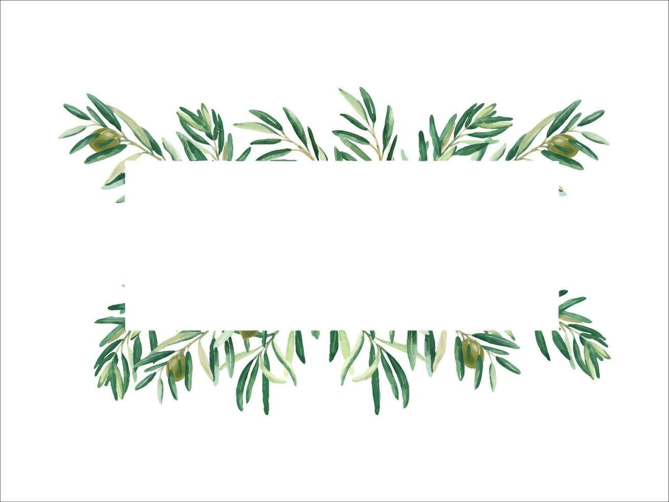 horizontal cadre, frontière avec olive branches et vert des fruits. aquarelle main tiré illustration. pour cartes, logos, bannières, modèles et cosmétique conception. vecteur