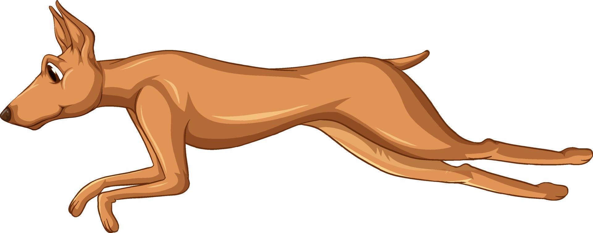 Caricature de chien doberman pinscher sur fond blanc vecteur