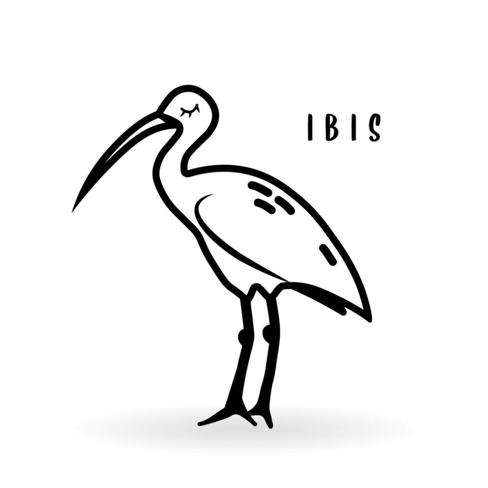 dessin animé ibis oiseau animal isolé sur blanche. mignonne personnage icône, vecteur zoo, faune affiche.