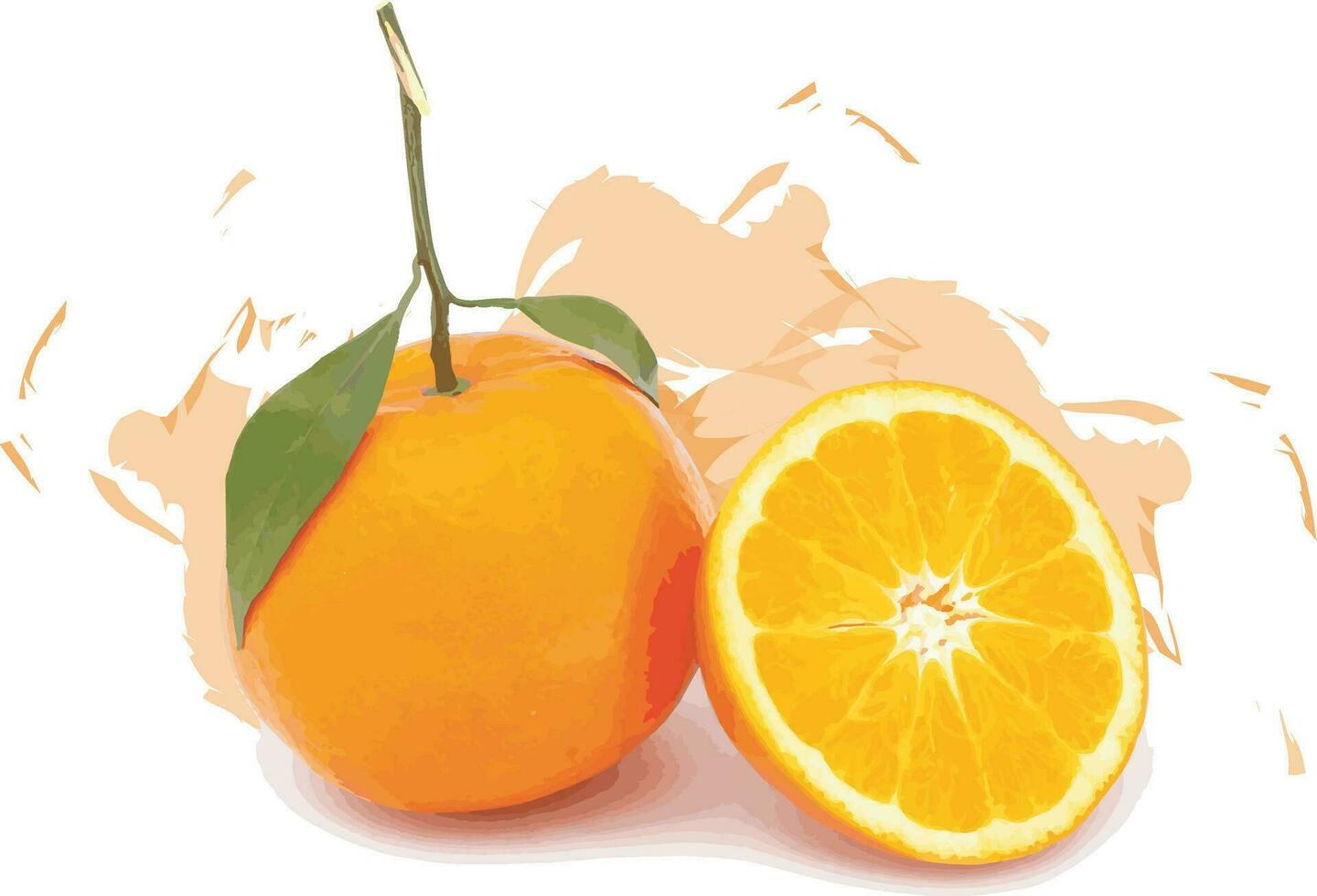 abstrait de Orange des fruits sur blanc Contexte avec Couleur diffuser. vecteur