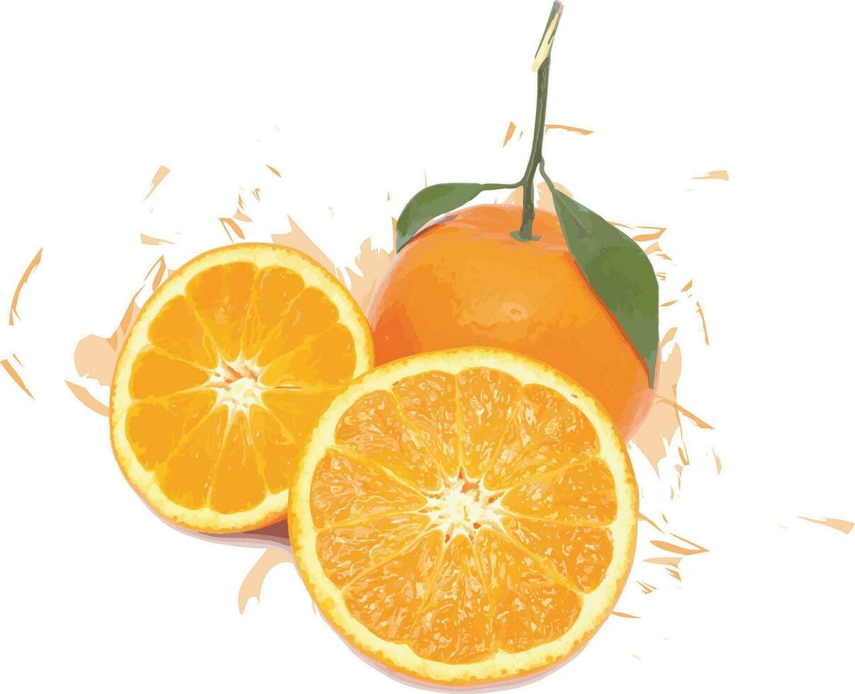 abstrait de Orange des fruits sur blanc Contexte avec Couleur diffuser. vecteur