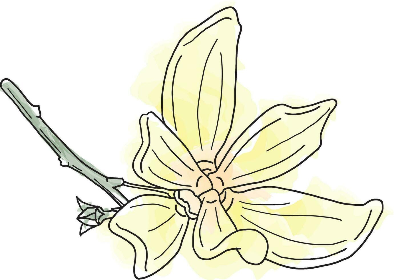 abstrait ligne de escalade ylang Ylang fleur avec Couleur propager Contexte. vecteur