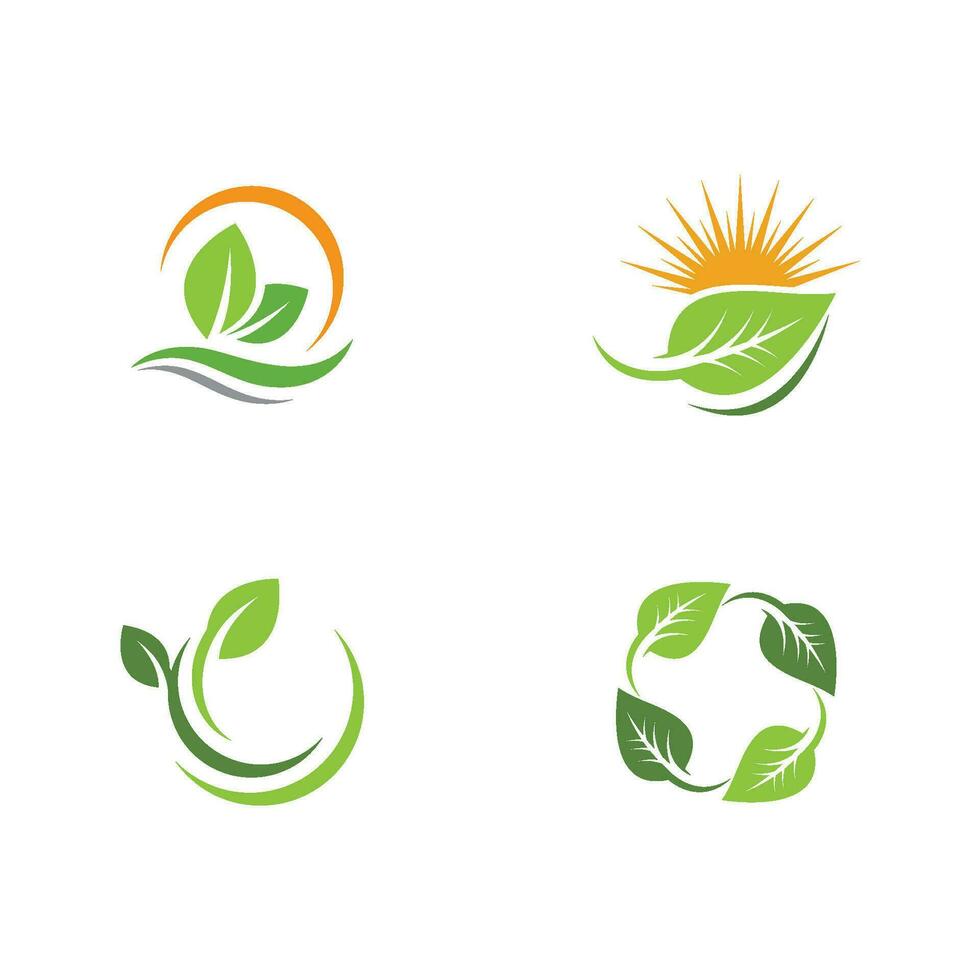 logos de l'écologie des feuilles d'arbre vert vecteur