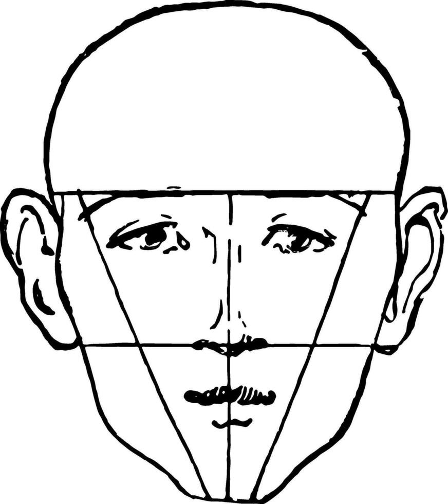 Masculin visage montré avec une chauve tête ancien gravure. vecteur