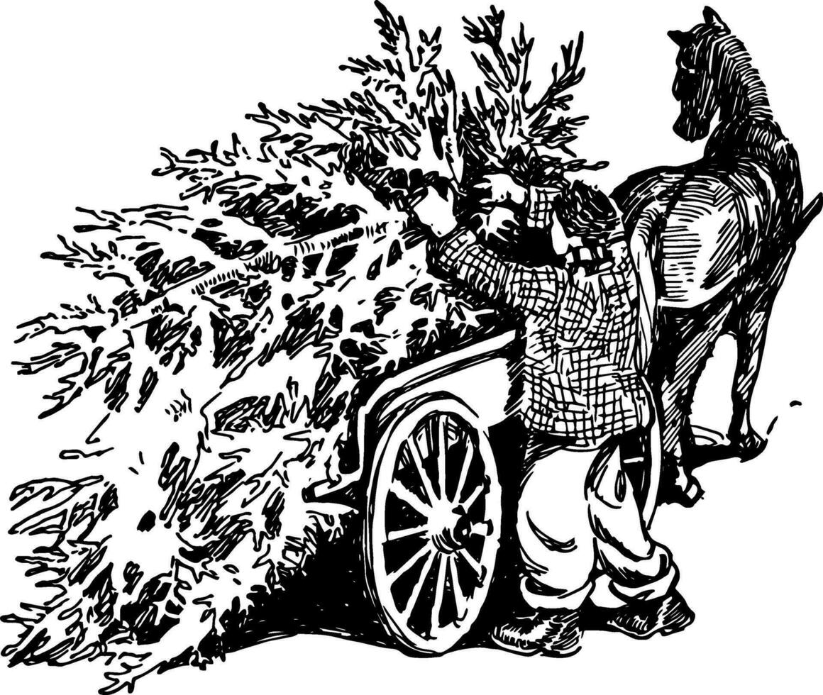 homme avec pin arbre sur Chariot ancien illustration. vecteur