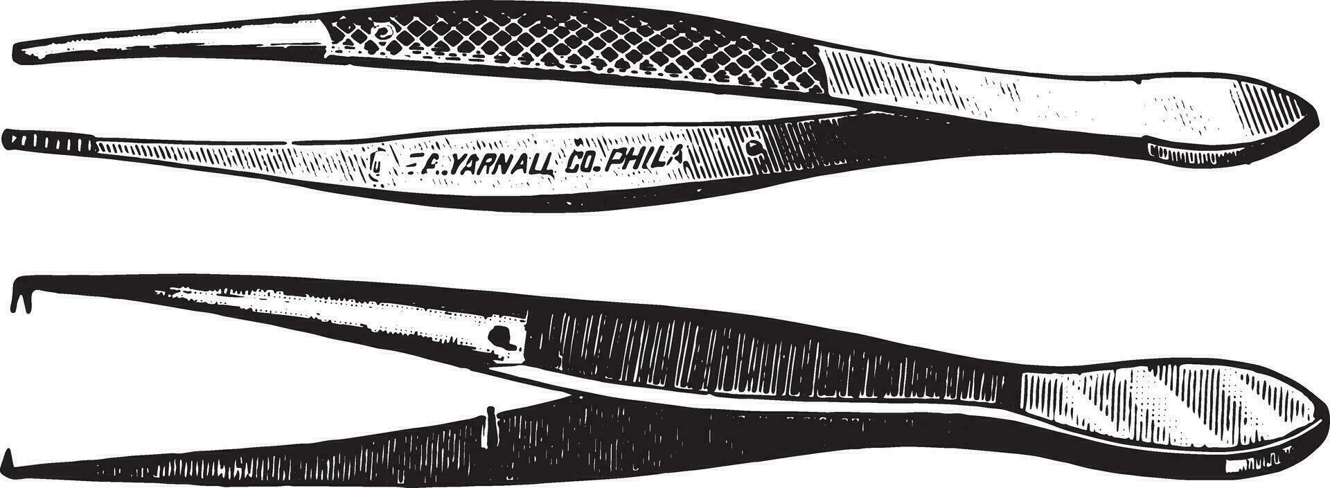 disséquer forceps, ancien gravure. vecteur