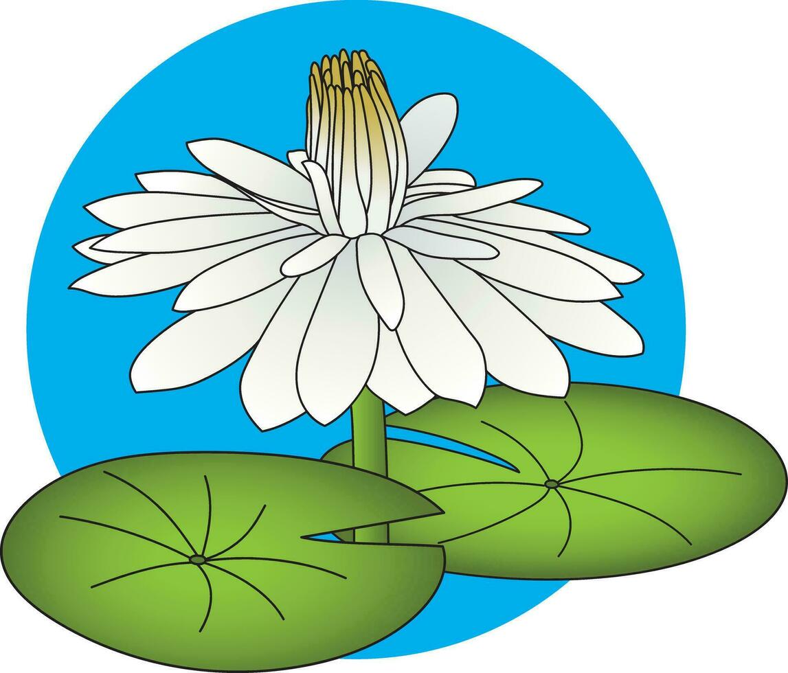 illustration nénuphar fleur avec feuille sur bleu cercle Contexte. vecteur