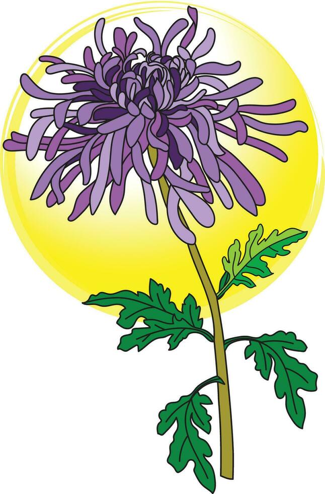 illustration de chrysanthème fleur avec feuilles sur doux Jaune cercle Contexte vecteur