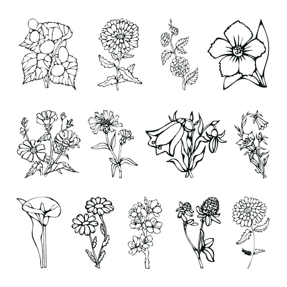 biologique fleur esquisser avec feuilles dans griffonnage style icône ensemble collection. vecteur