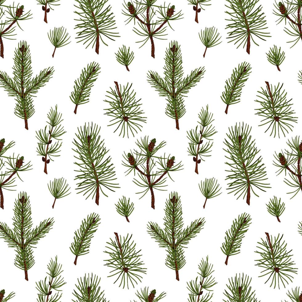 forêt dessinée à la main et modèle sans couture de noël avec des branches de sapin, de pin et de mélèze isolés sur fond blanc. illustration vectorielle dans le style de croquis coloré vecteur