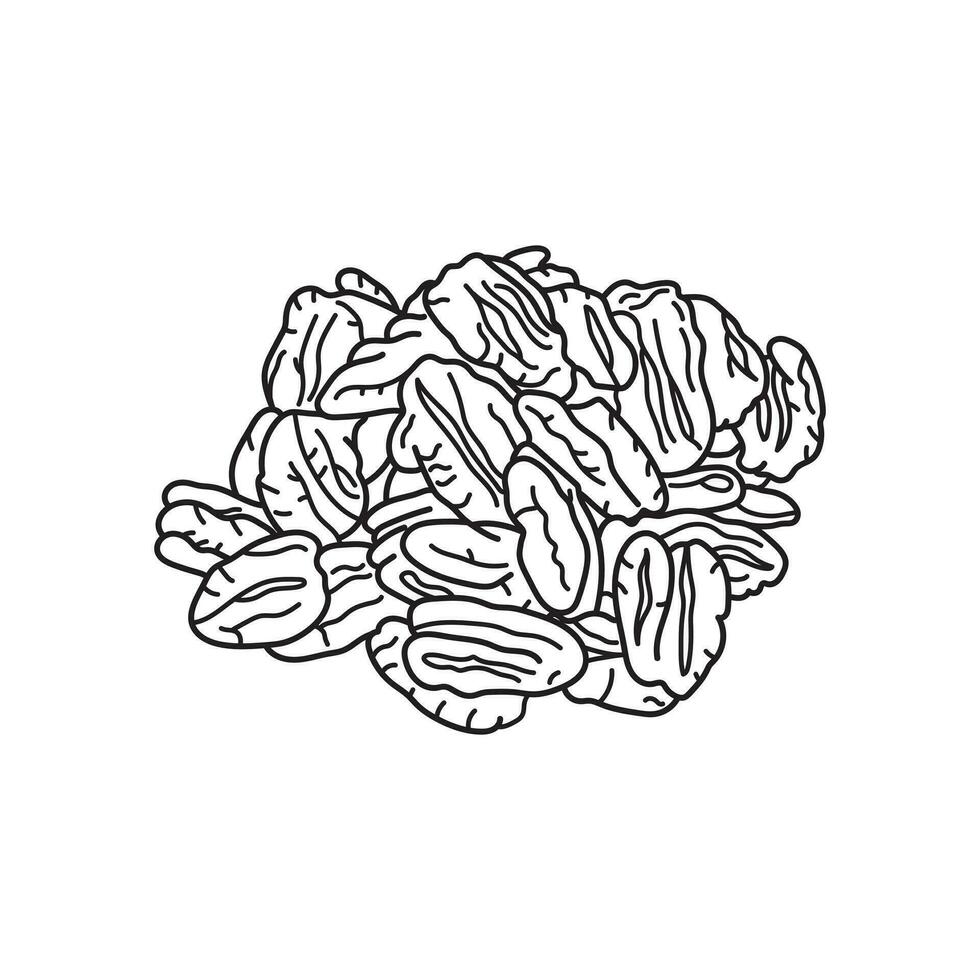 main tiré des gamins dessin vecteur illustration noix de pécan dans une dessin animé style isolé sur blanc Contexte