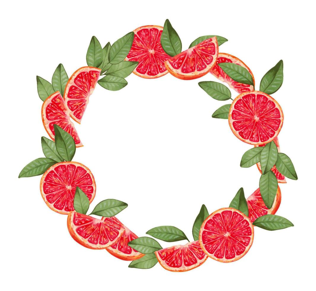 rond pamplemousse couronne.fruit Cadre fabriqué de mûr fruit tranches avec feuilles.botanique en bonne santé nourriture.marqueur et aquarelle illustration.design pour nourriture emballage, jus, menus, cartes.fait main isolé art vecteur