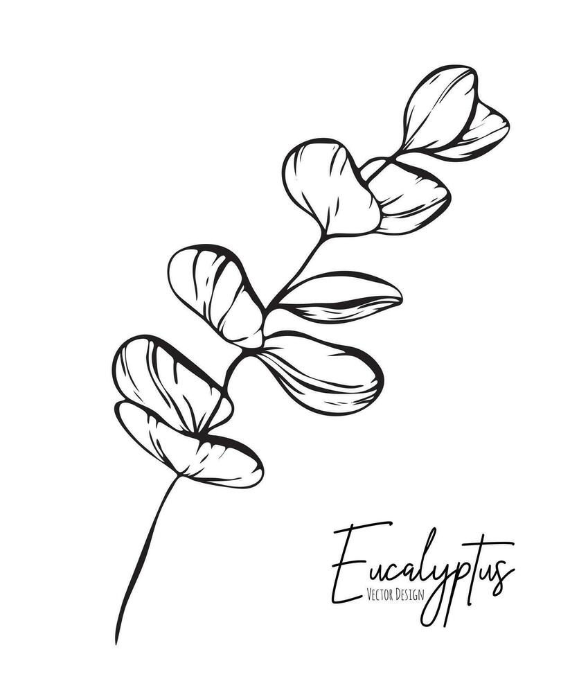 botanique élégant ligne illustration de une eucalyptus feuilles branche pour mariage invitation et cartes, logo conception, la toile, social médias et affiche, modèle, publicité, beauté et cosmétique industrie. vecteur