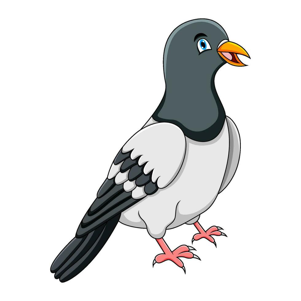 mignonne Pigeon dessin animé sur blanc Contexte vecteur