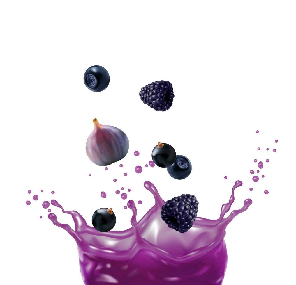 violet fruit jus mélanger éclaboussure et mûr baies vecteur