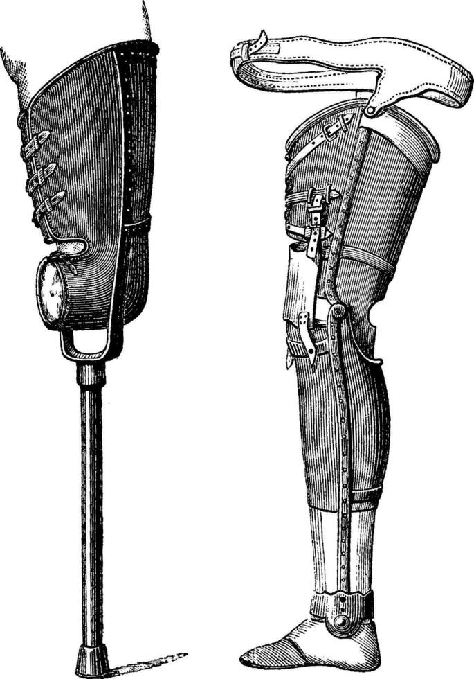 artificiel jambes, ancien gravure vecteur