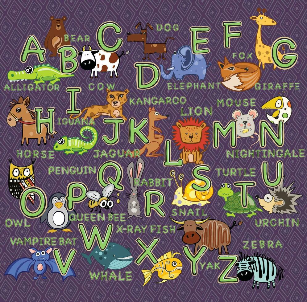 Latin alphabet, enfants alphabet avec animaux, des lettres. vecteur